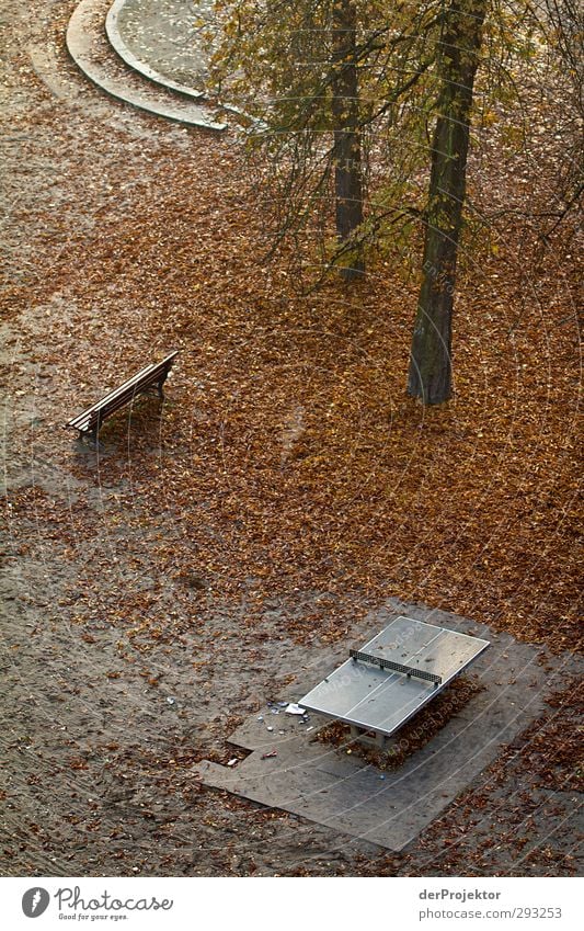 Lebenslinie endet Natur Landschaft Pflanze Herbst Schönes Wetter Nutzpflanze Hauptstadt Menschenleer Sehenswürdigkeit Gefühle Stimmung Verantwortung achtsam