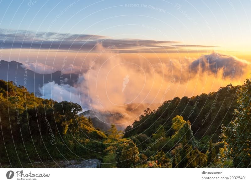 Doi inthanon mountains, Thailand schön Ferien & Urlaub & Reisen Tourismus Freiheit Sommer Berge u. Gebirge wandern Skifahren Umwelt Natur Himmel Wolken Baum