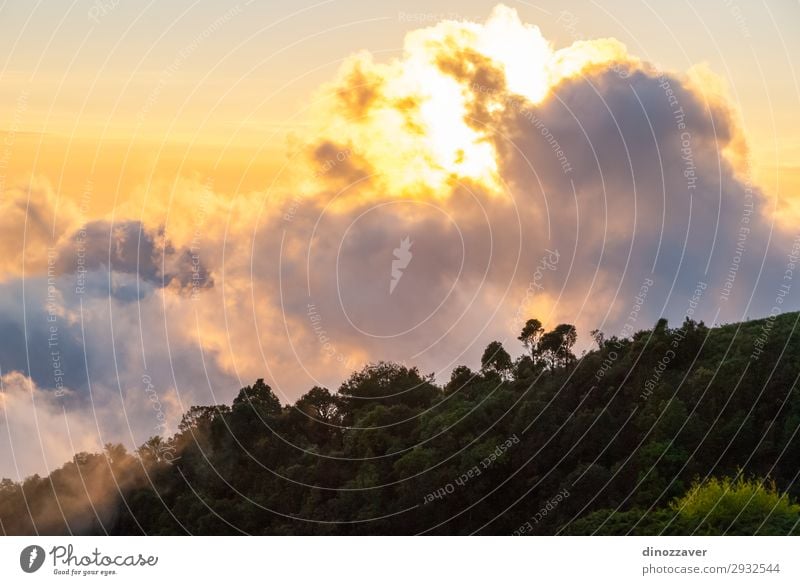 Doi inthanon mountains, Thailand schön Ferien & Urlaub & Reisen Tourismus Freiheit Sommer Berge u. Gebirge wandern Skifahren Umwelt Natur Himmel Wolken Baum