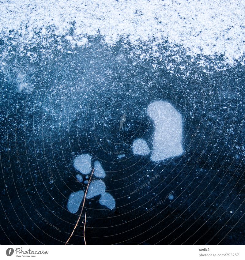 Blau machen Umwelt Natur Wasser Winter Eis Frost Schnee See frieren kalt klein nah natürlich unten blau schwarz weiß gefroren Wasserblase Wasseroberfläche