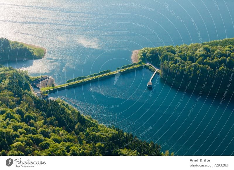 Strich in der Landschaft Natur Baum Wald Seeufer grün Perspektive Allee damm Staumauer Stausee Farbfoto mehrfarbig Außenaufnahme Luftaufnahme