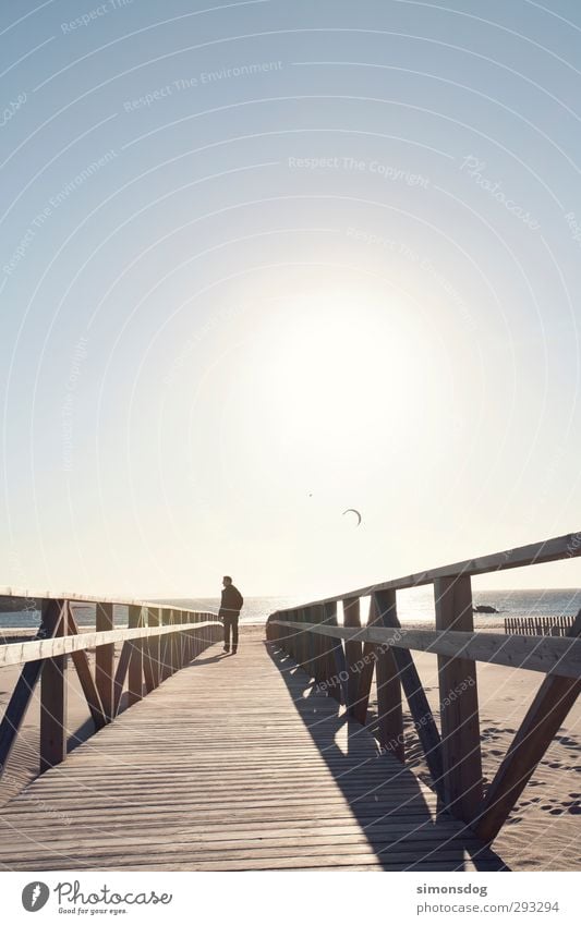 relajar Mensch maskulin Junger Mann Jugendliche Erwachsene 1 Natur Urelemente Sand Wolkenloser Himmel Sonne Sonnenlicht Wärme Küste Meer gehen Fröhlichkeit