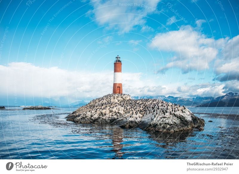 Faro Les Éclaireurs Natur blau grau weiß Leuchtturm Licht Schiffsunglück Rettung Warnung Grundbesitz Wasserfahrzeug Meer Argentinien tierra del fuego Felsen