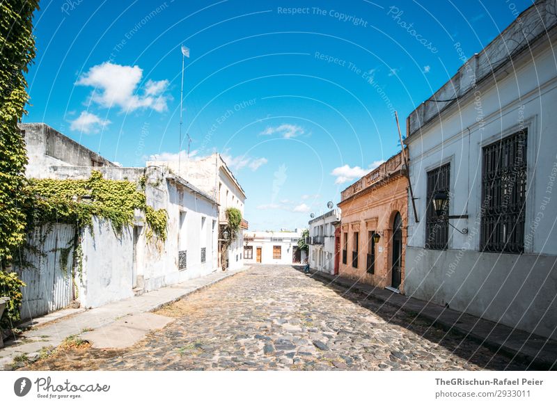 Colonia Kleinstadt blau braun weiß Uruguay Straße Pflastersteine Haus Unbewohnt alt Sonnenstrahlen Licht Schatten colonia Reisefotografie Ausflug Farbfoto