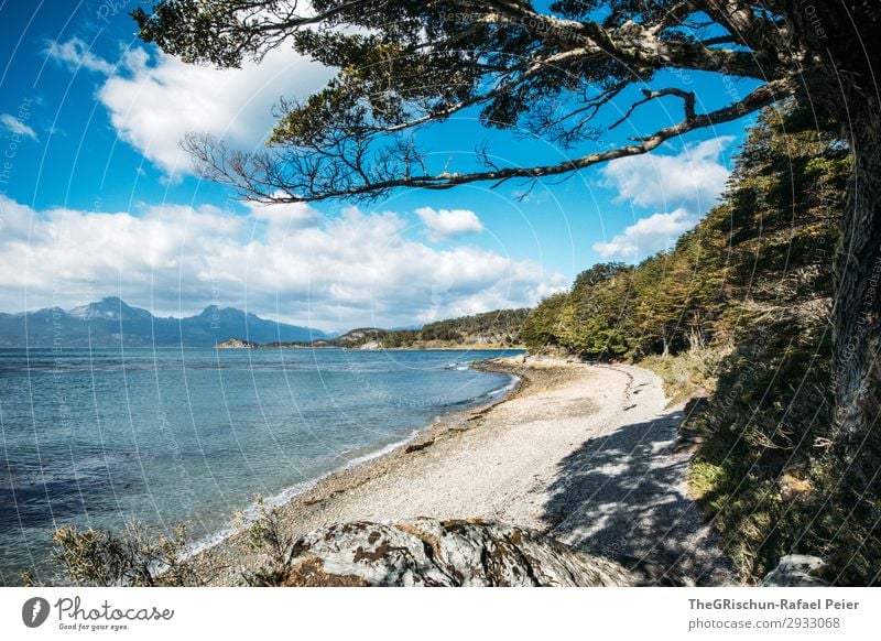 Ushuaia NP Natur Landschaft blau grau grün schwarz Berge u. Gebirge tierra del fuego ushuaia Strand wandern Nationalpark Patagonien Argentinien Südamerika Meer