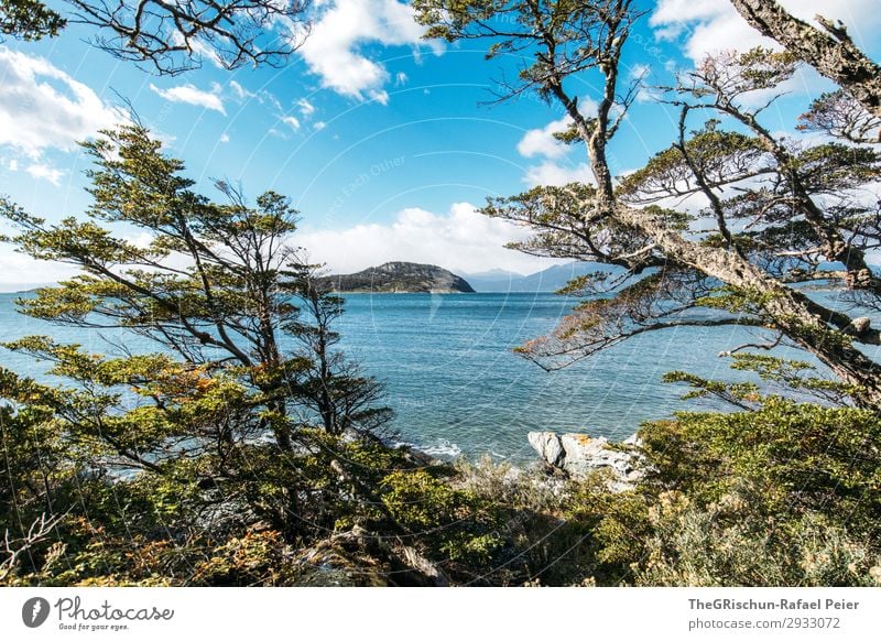 Ushuaia NP Umwelt Natur Landschaft blau Nationalpark wandern Küste laufen Baum Berge u. Gebirge Klima rau Wind ushuaia Südamerika Argentinien Farbfoto