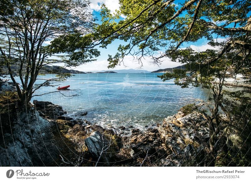 Bucht Natur Landschaft blau grün Stein Baum Wasserfahrzeug Meer Südamerika ushuaia Patagonien tierra del fuego Meerwasser Strand Farbfoto Außenaufnahme