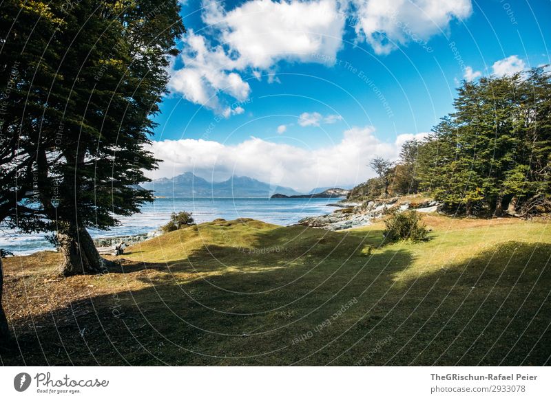 Ushuaia NP Umwelt Natur Landschaft blau schwarz silber weiß Wiese Bucht Berge u. Gebirge Licht Schatten Wald ushuaia tierra del fuego Sonnenstrahlen wandern