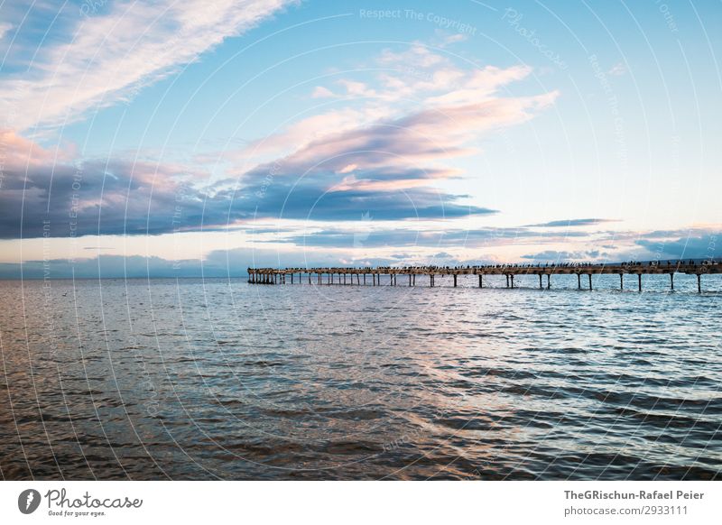 Steg Natur Landschaft blau rosa Punta Arenas Chile Südamerika Stimmung Meer Wolken Reflexion & Spiegelung Farbfoto Außenaufnahme Menschenleer Textfreiraum oben