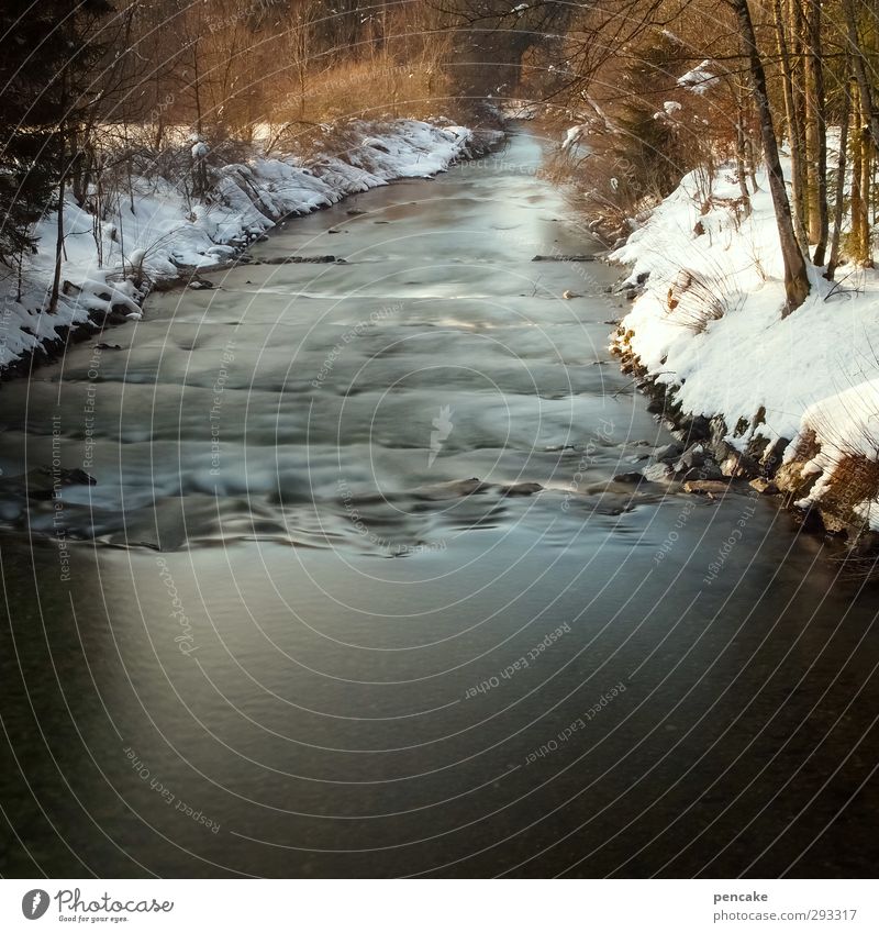 alles in fluss Wohlgefühl Erholung Meditation Angeln Freiheit Wellen Winterurlaub Wassersport Schwimmen & Baden Kanu Natur Landschaft Wald Flussufer Argen