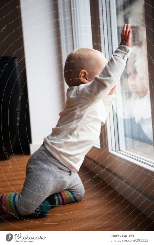 kleinkind am fenster Kindererziehung Bildung Kindergarten frühkindliche Erziehung Kindergrippe Mensch maskulin Kleinkind Junge Kindheit Körper Hand Finger Beine