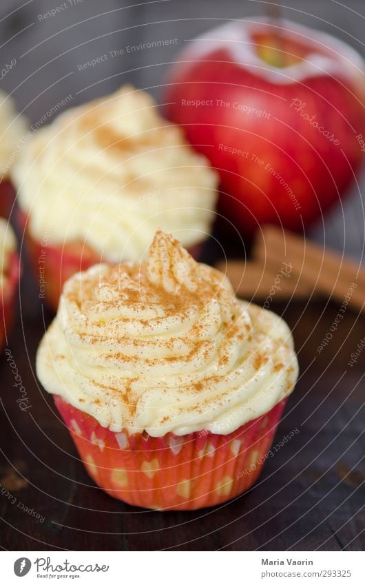 Weihnachtsleckerei in der Weihnachtsbäckerei Lebensmittel Teigwaren Backwaren Kuchen Dessert Süßwaren Kaffeetrinken Feste & Feiern Weihnachten & Advent Duft süß