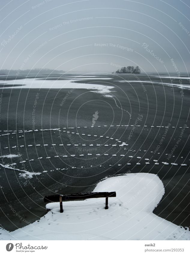 Nach der Flut Umwelt Natur Landschaft Himmel Wolken Horizont Winter Klima Wetter Schönes Wetter Eis Frost Schnee Baum Bucht Insel See frieren stehen warten kalt