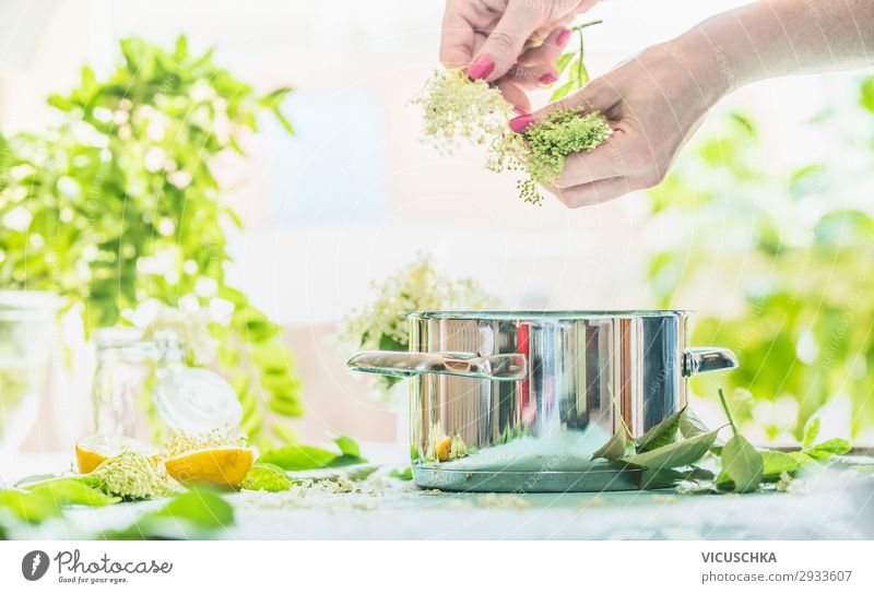 Holunderblütensirup zubereiten Lebensmittel Marmelade Bioprodukte Diät Getränk Geschirr Topf Stil Design Gesundheit Alternativmedizin Gesunde Ernährung Sommer