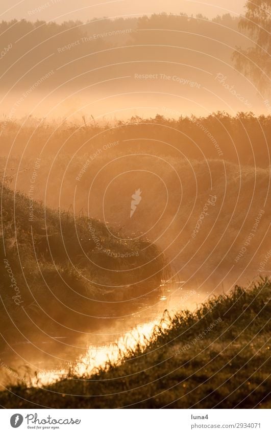 Morgennebel über einem Bach ruhig Sonne Umwelt Natur Landschaft Wasser Herbst Wetter Nebel Baum Wiese Feld Wald grün rot Stimmung Romantik Idylle Graben Dunst