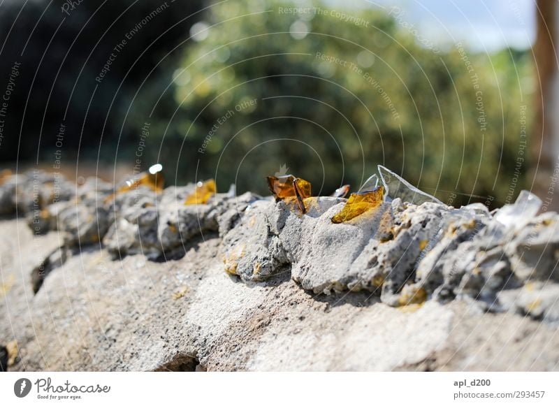 Scherben bringen Glück Glas Sektglas Häusliches Leben Kunst Garten Mauer Wand stehen grau grün Kraft standhaft Angst Flasche Zaun Gartenmauer Schutz Lampe