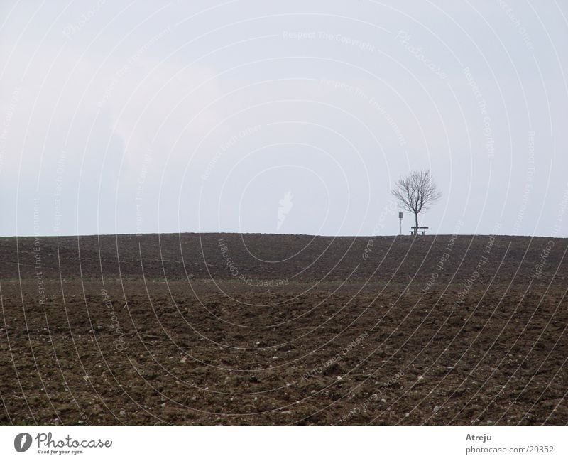 Einsam Feld Nebel Herbst Baum Einsamkeit grau Bank