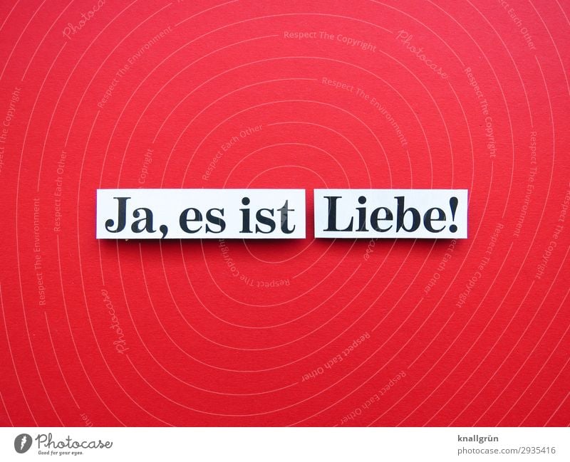 Ja, es ist Liebe! Schriftzeichen Schilder & Markierungen Kommunizieren Zusammensein Glück Gefühle Zufriedenheit Lebensfreude Begeisterung Geborgenheit