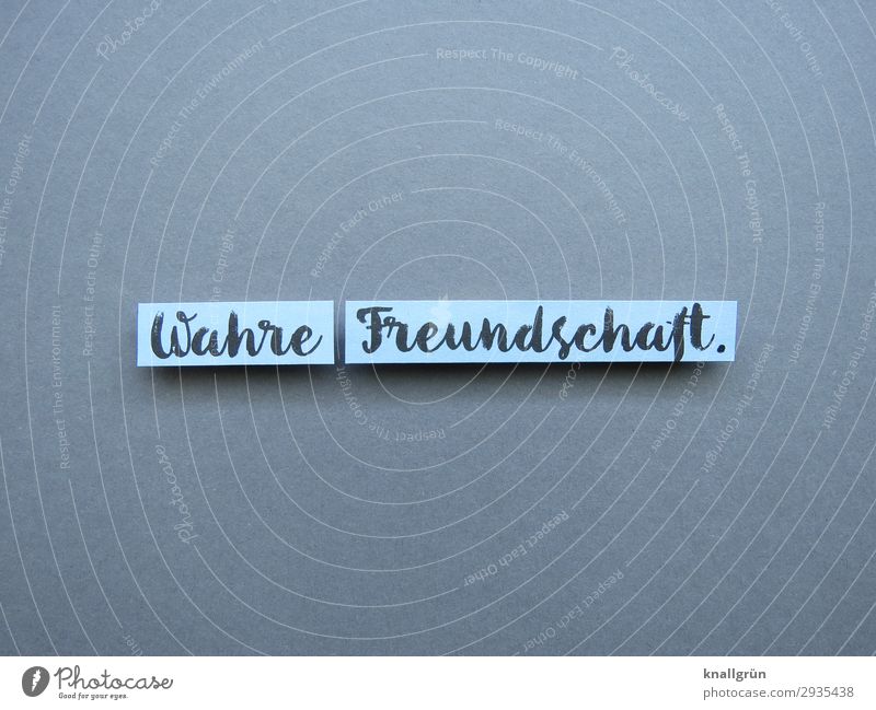 Wahre Freundschaft. Mensch Zuneigung Vertrauen Zusammensein Gefühle 2 Liebe Glück loyal Zeit Buchstaben Wort Satz Letter Stimmung Text Lateinisches Alphabet