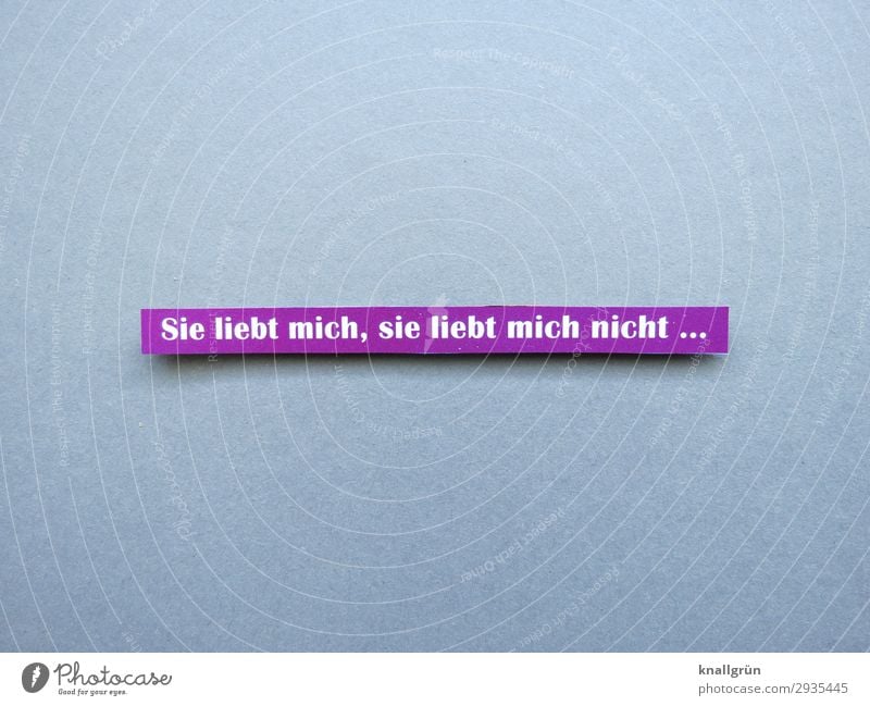 Sie liebt mich, sie liebt mich nicht ... Schriftzeichen Schilder & Markierungen Kommunizieren Liebe grau violett weiß Gefühle Glück Frühlingsgefühle Sympathie