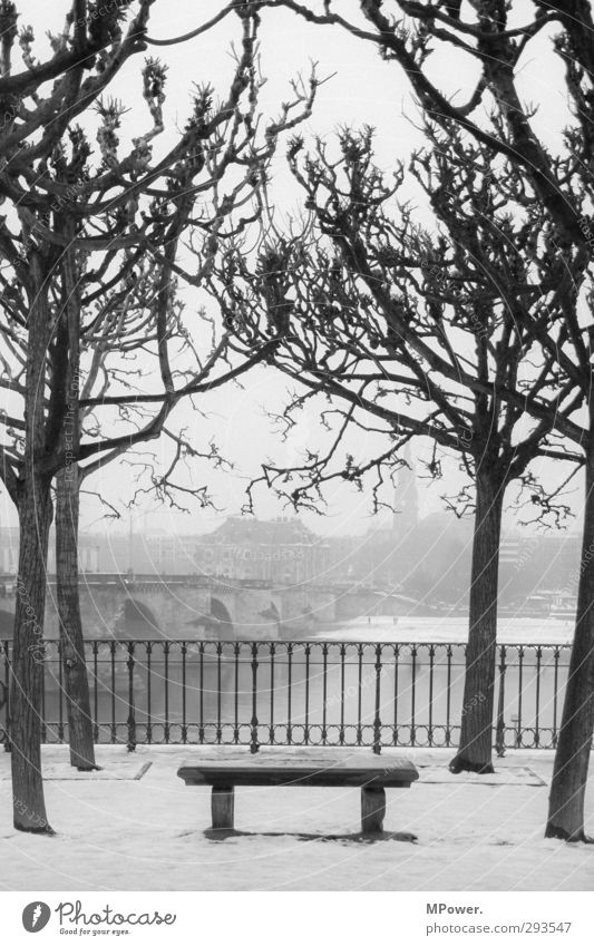 urban place Stadt Hauptstadt Hafenstadt Stadtzentrum Menschenleer Park Platz grau schwarz Winter Bankgebäude kahl trist Dresden Elbe Zaun 4 Baum Brücke