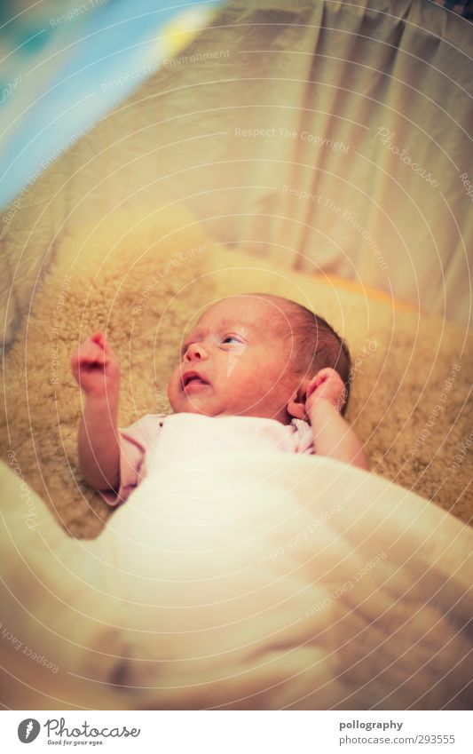 Das Licht der Welt entdeckt Mensch Kind Baby Kleinkind Kindheit Leben 1 0-12 Monate Fell Stimmung Fröhlichkeit Akzeptanz Geborgenheit Neugier Interesse