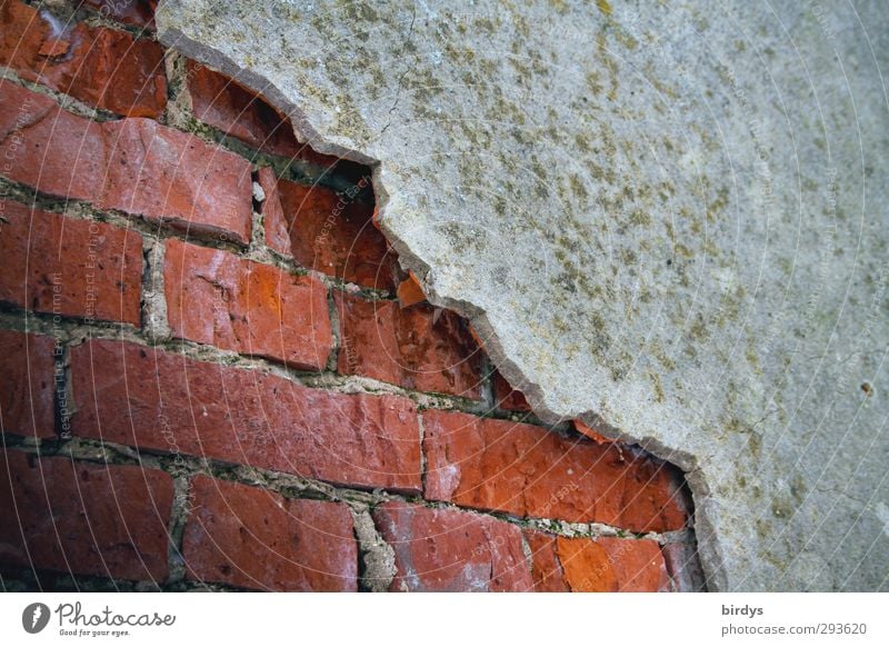 Einblick Baustelle Mauer Wand Fassade Backstein alt authentisch Originalität Senior Stadt Verfall Wandel & Veränderung Zerstörung Am Rand Putz baufällig Schaden