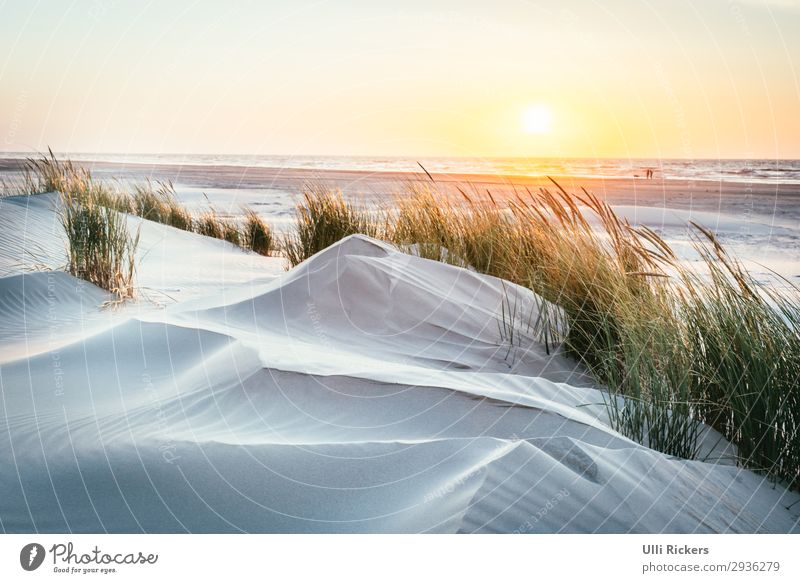 Vom Strand zum Meer Ferien & Urlaub & Reisen Tourismus Ausflug Ferne Freiheit Sommer Sommerurlaub Sonne Insel Umwelt Natur Sonnenaufgang Sonnenuntergang Klima