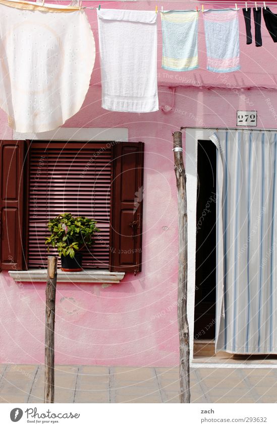 für Mädchen Pflanze Topfpflanze Venedig Burano Italien Dorf Fischerdorf Altstadt Haus Mauer Wand Fassade Fenster Tür Fensterladen Strümpfe Stoff Wäsche Handtuch