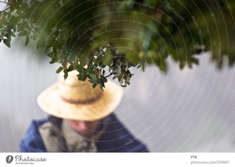 under the weather maskulin Junger Mann Jugendliche Erwachsene Nase 18-30 Jahre Umwelt Natur Pflanze Wolken Herbst Nebel Regen Baum Wald Urwald Hut Schutz