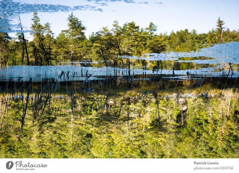 Swim Until You Can't See Land Umwelt Natur Landschaft Urelemente Wasser Abenteuer ästhetisch Bewegung Farbfoto Außenaufnahme Tag Reflexion & Spiegelung