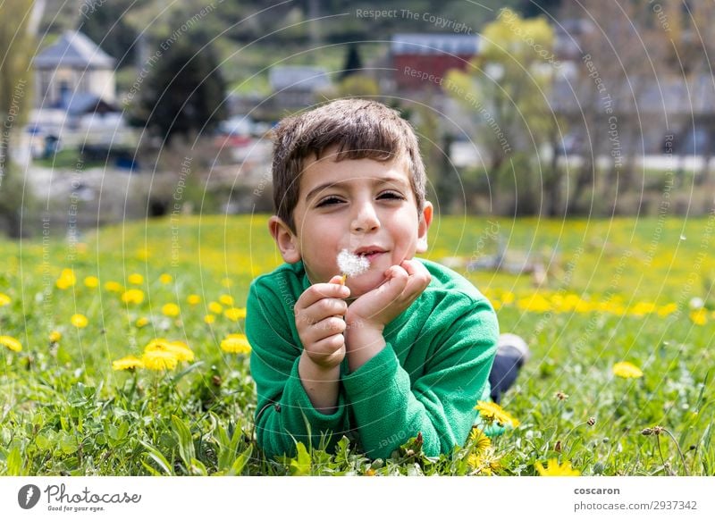 Süßer kleiner Junge, der auf einem Feld liegt. Lifestyle Freude Glück schön Gesicht Freizeit & Hobby Spielen Ferien & Urlaub & Reisen Tourismus Sommer Sonne