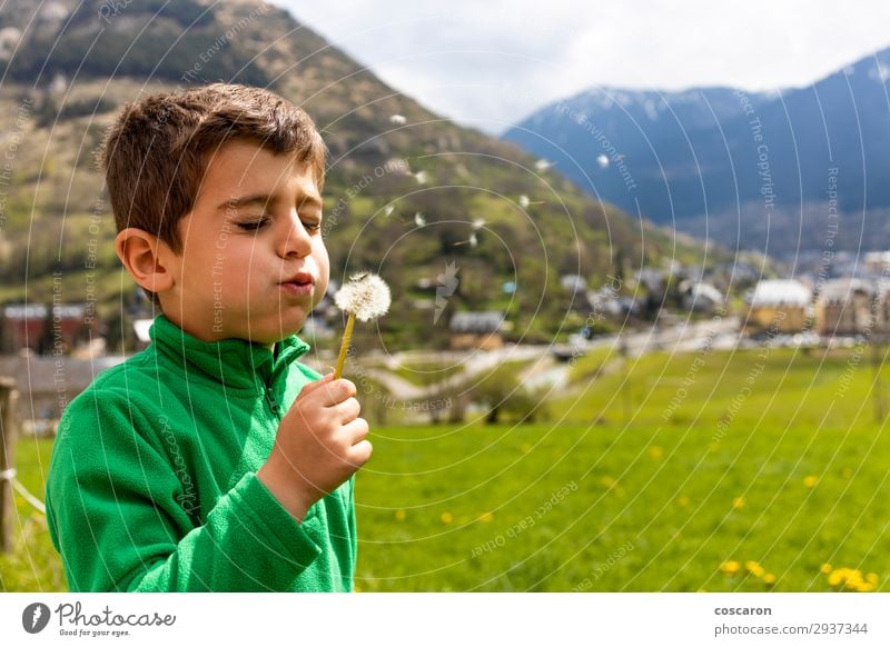 Kleiner Junge, der ein Dantelion auf der grünen Wiese bläst. Lifestyle Freude schön Gesicht Erholung Freizeit & Hobby Spielen Freiheit Sommer Berge u. Gebirge