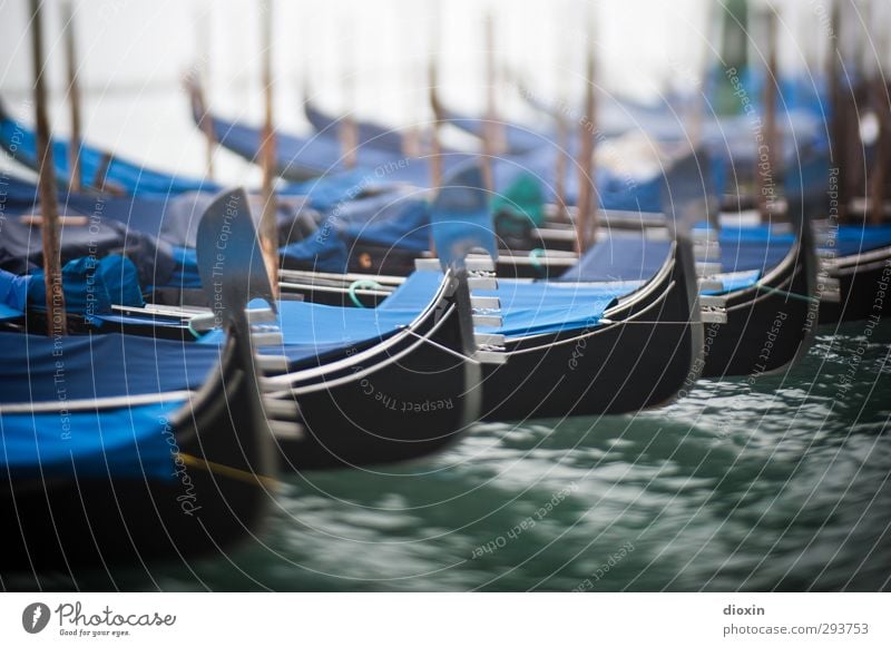 Domenicos Vermächtnis Ferien & Urlaub & Reisen Tourismus Sightseeing Städtereise Wasser Wetter schlechtes Wetter Nebel Venedig Italien Hafenstadt Stadtzentrum