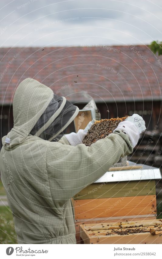 Imker Bienen Rauch maskulin 1 Mensch beobachten Blick Bienenstock Imkerschleier Scheune Wolken Farbfoto Tag Zentralperspektive