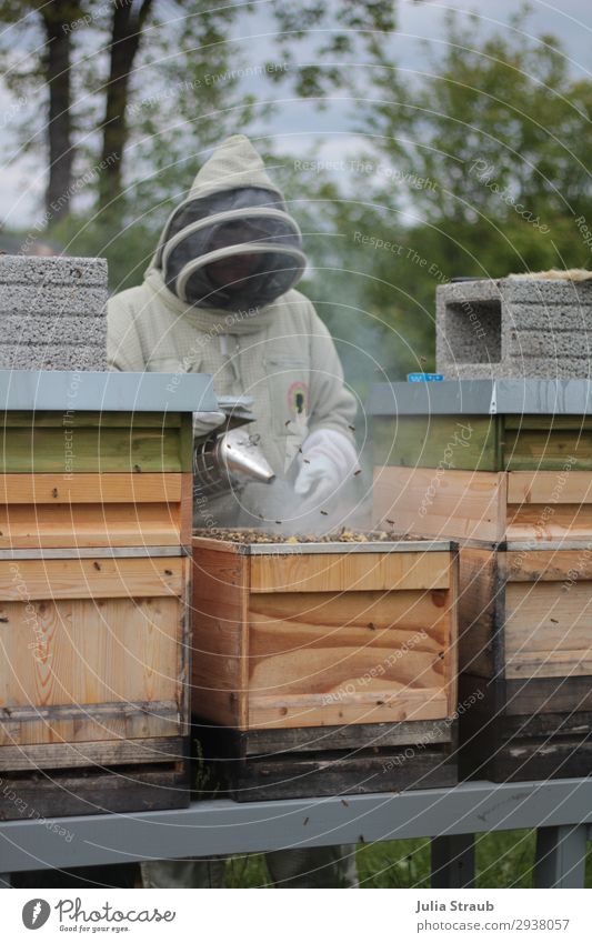 Imker Bienenkästen Rauch Freizeit & Hobby Imkerschleier maskulin 1 Mensch Arbeit & Erwerbstätigkeit beobachten Blick braun Rettung Bienenstand Bienenstock