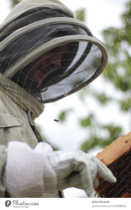 Imker Imkerschleier Anzug Bienen Mensch maskulin 1 30-45 Jahre Erwachsene beobachten außergewöhnlich Handschuhe Schutzbekleidung Kontrolle Farbfoto