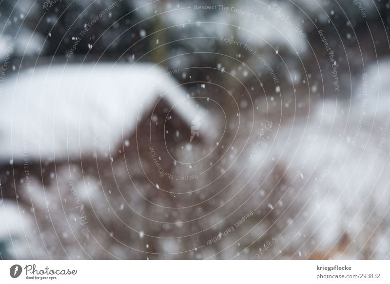 Schneeflöckchen Tourismus Winter Winterurlaub Natur Wetter Eis Frost Schneefall Dorf Hütte Garten kalt Vorfreude Sehnsucht Heimweh Einsamkeit Frieden Idylle