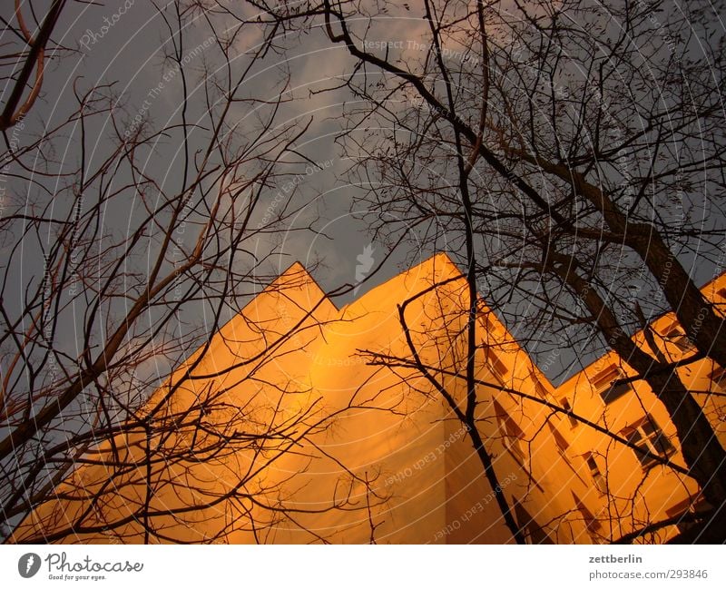 Altbau Umwelt Himmel Sonnenaufgang Sonnenuntergang Herbst Klima Klimawandel Wetter Schönes Wetter Baum Stadt Hauptstadt Stadtzentrum Haus Bauwerk Gebäude