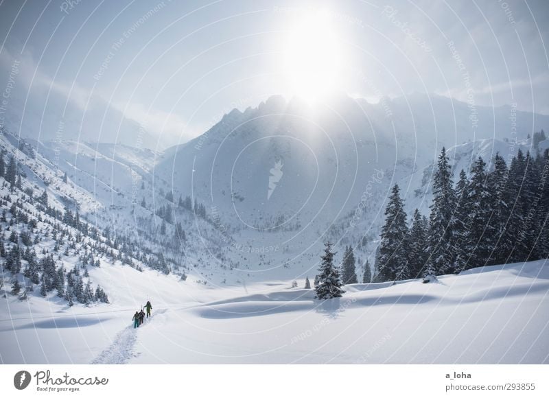 to be alone with you Lifestyle Sport Wintersport Skifahren Umwelt Natur Landschaft Urelemente Himmel Sonne Sonnenlicht Schönes Wetter Schnee Wald Alpen