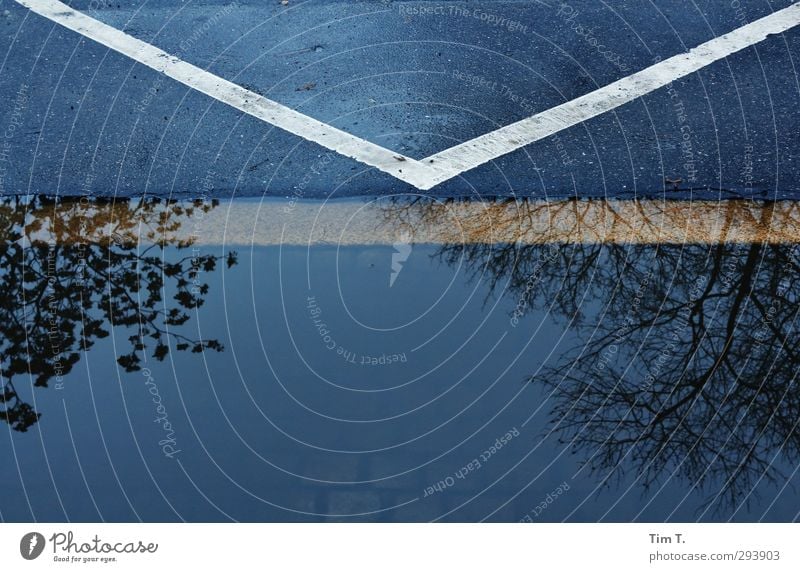 Berlin Wasser Deutschland Stadtzentrum Altstadt Menschenleer Verkehrswege Straße stagnierend Reflexion & Spiegelung Baum Spiegelbild Pfütze Bordsteinkante