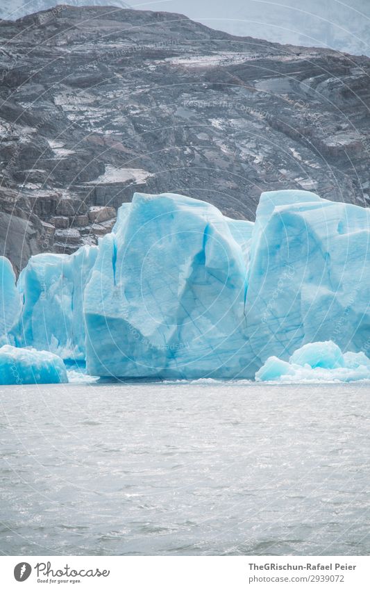 lago grey Natur Landschaft blau weiß Chile Gletscher Eis schmelzen Eisberg Eisscholle Strukturen & Formen Farbe bedrohlich Patagonien Südamerika Reisefotografie