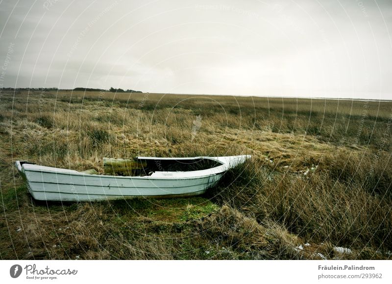 ahoi. Horizont Herbst Winter schlechtes Wetter Unwetter Regen Gewitter Gras Sträucher Moos Wiese Feld Küste Seeufer Flussufer Fjord Meer Insel Moor Sumpf Teich