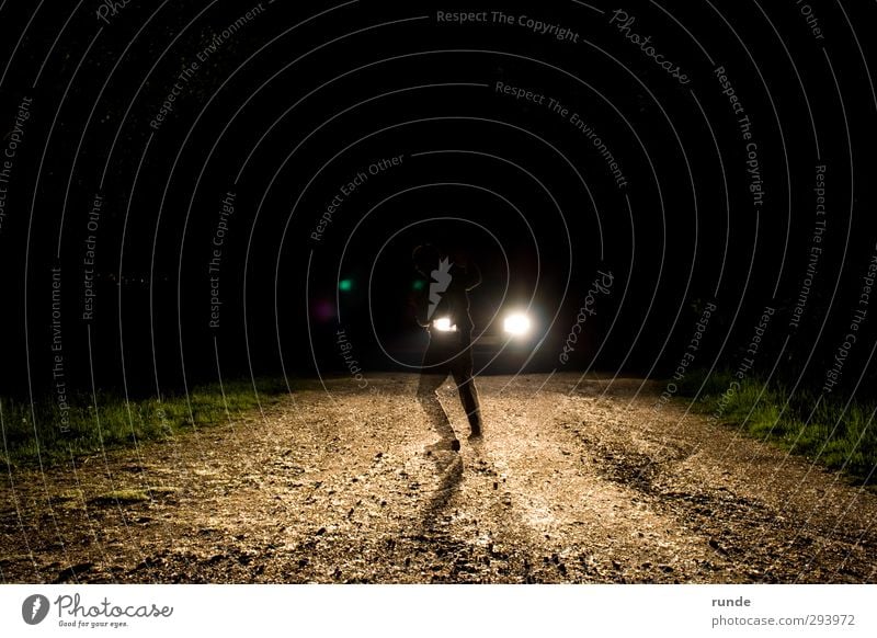 Unfall Spaziergang wandern Mensch 1 Natur Erde Sand Gras Wald Autofahren Fußgänger Verkehrsunfall Straße Wege & Pfade PKW leuchten Aggression bedrohlich dreckig