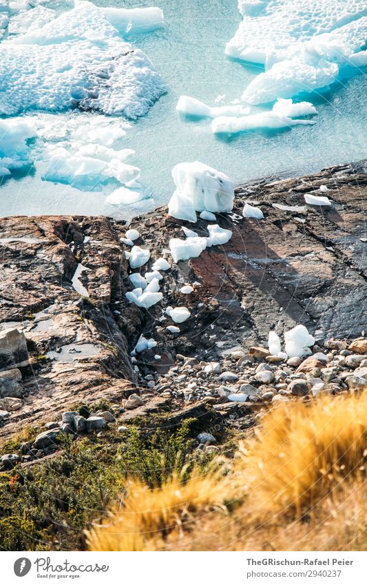 Eisschollen Natur blau türkis weiß Küste Stein Sonnenstrahlen Schnee Perito Moreno Gletscher schmelzen Farbfoto Außenaufnahme Menschenleer Textfreiraum unten