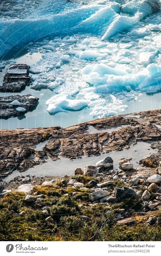 Eisschollen Natur Landschaft blau türkis weiß Perito Moreno Gletscher Stein Küste Wasser Schnee Patagonien Farbfoto Außenaufnahme Menschenleer Textfreiraum oben