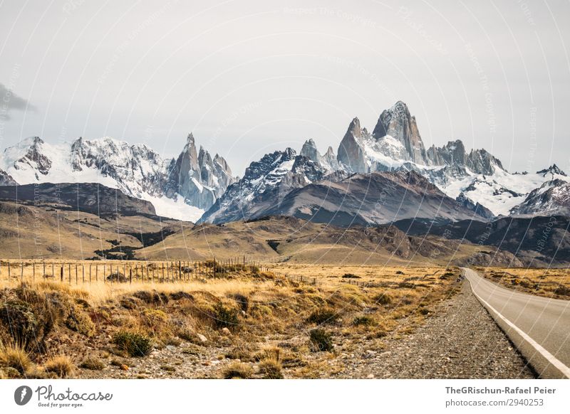 Fitz Roy - Cerro torre Umwelt Natur Landschaft braun gelb weiß Berge u. Gebirge Bergkette Aussicht Cerro Torre Argentinien Straße fahren Schnee Steppe