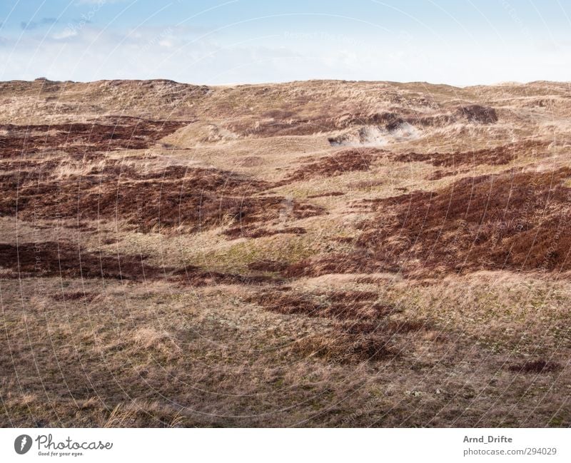 Holland Ferien & Urlaub & Reisen Ausflug Winter Winterurlaub Landschaft Himmel Hügel Küste Deich braun rot kalt Einsamkeit Menschenleer Wiese Dünengras