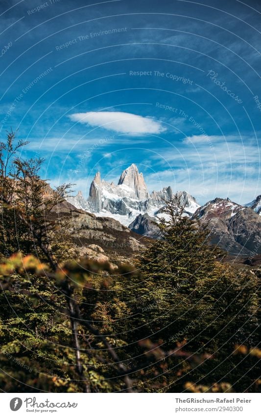 Fitz Roy Natur blau grau grün weiß Berge u. Gebirge Sträucher Wolken Himmel rollen Aussicht wandern Patagonien Argentinien El Chaltén el chalten Farbfoto