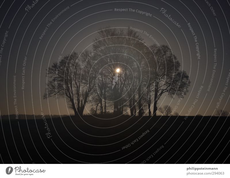 Mondwald hiking Ferien & Urlaub & Reisen Abenteuer wandern Natur Landschaft Nachthimmel Herbst Nebel Baum Feld dunkel gruselig blau schwarz trösten ruhig Angst